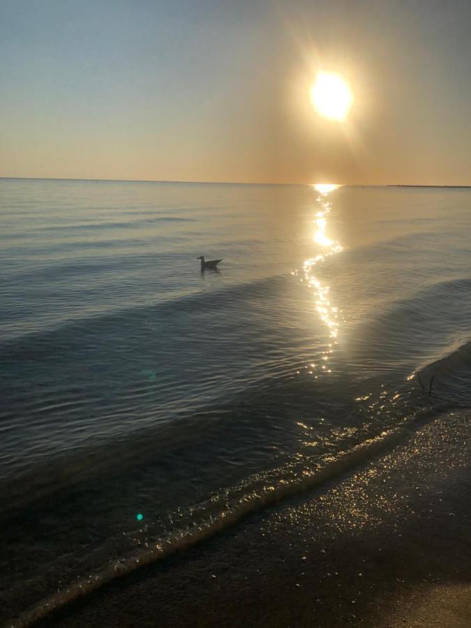 Primera Linea De Playa A 1Km Del Puerto De 德尼亚 外观 照片